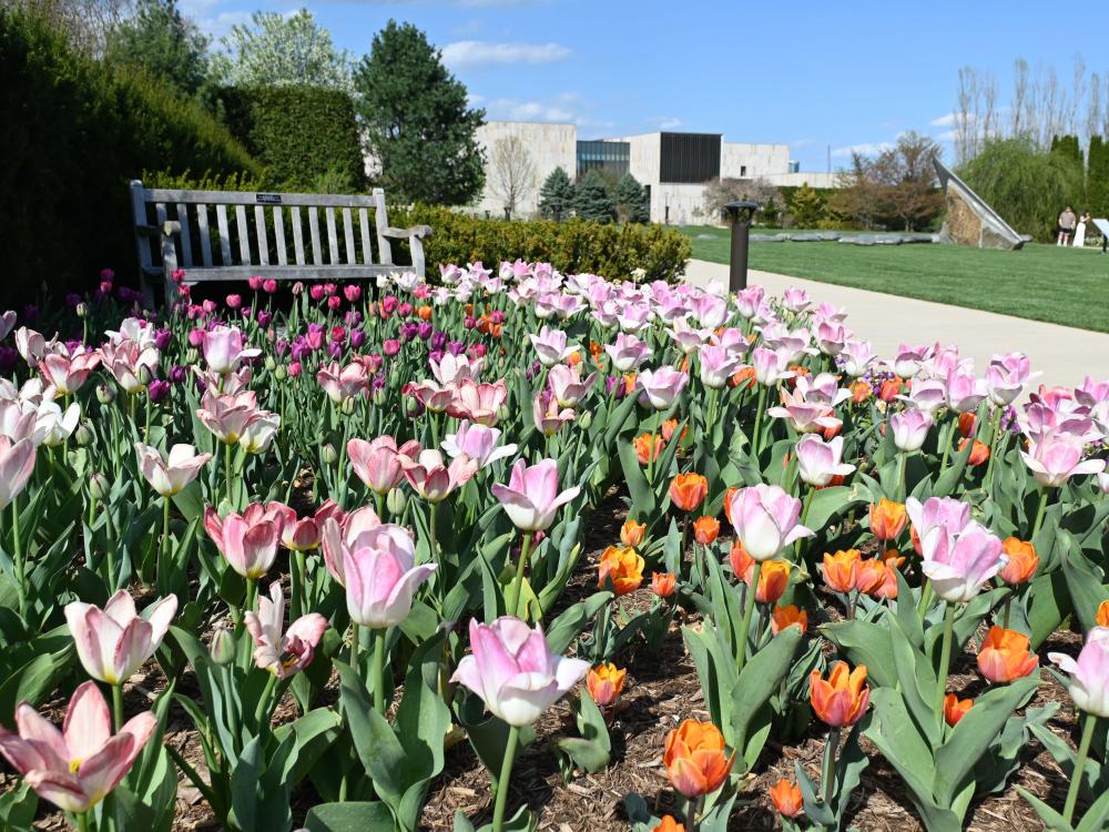 Closeup of springtime flowers