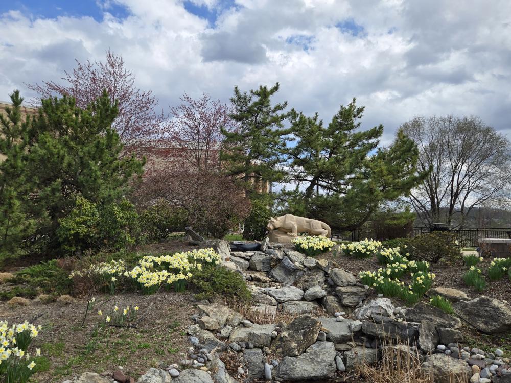 The Nittany lion shrine on Penn State Great Valley's campus, in front of trees and blooming flowers