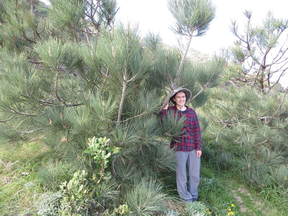 student among trees