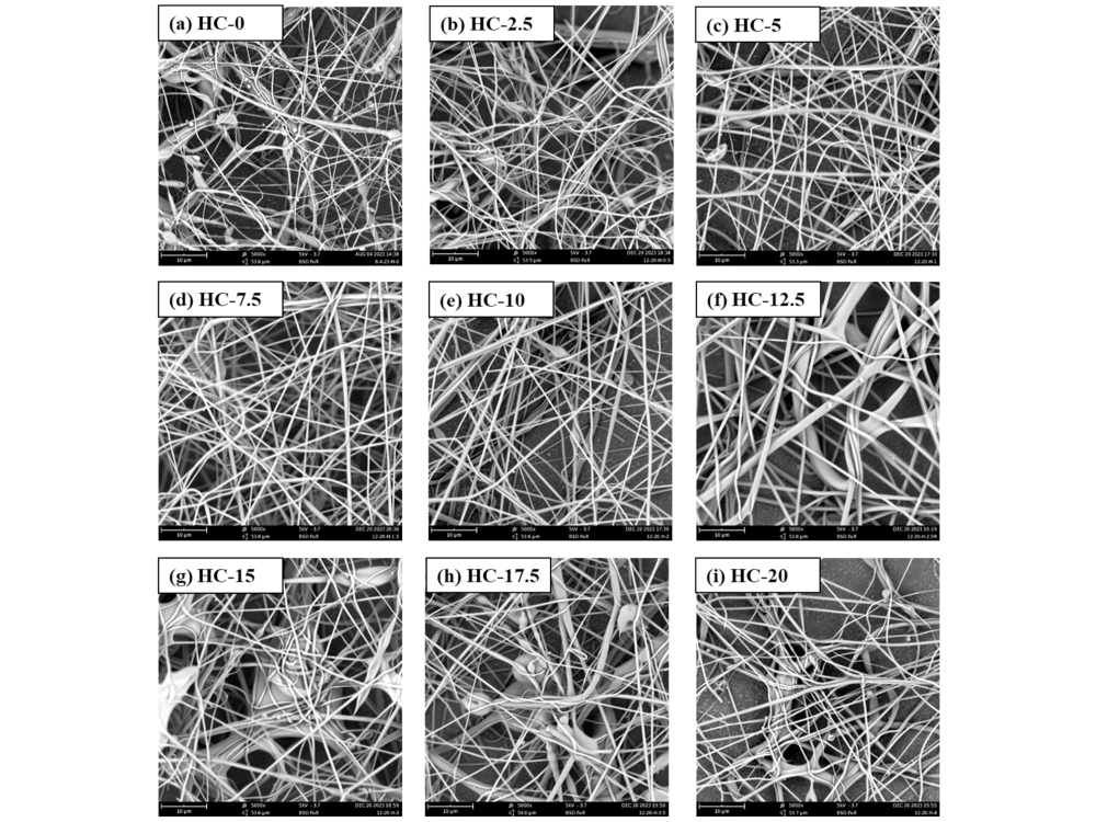 Black and white microscopic images of casein nanofibers supplemented with hypromellose.