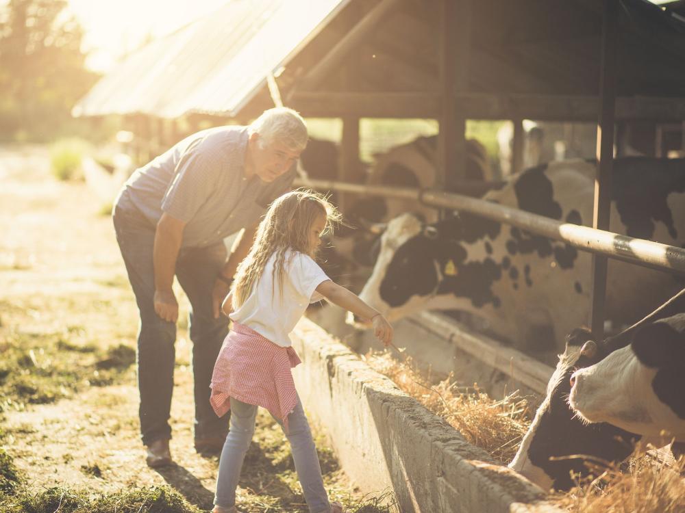 child on farm
