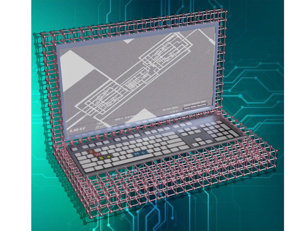 Illustration of a computer with a gray microscope image displayed
