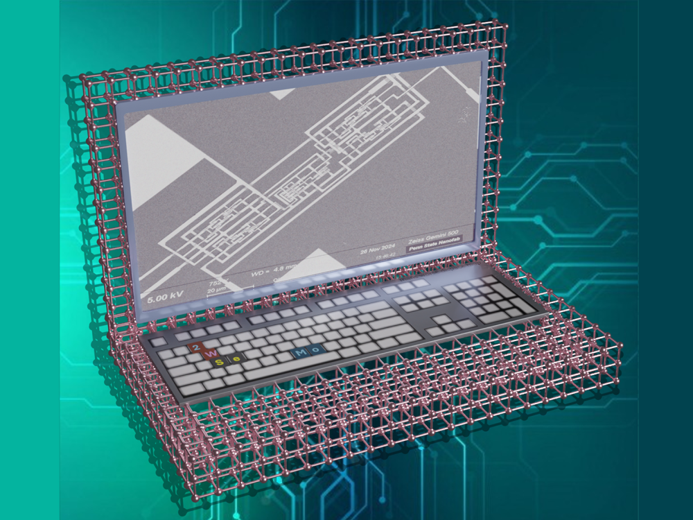 Illustration of a computer with a gray microscope image displayed