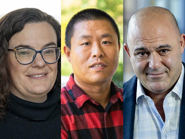 A composite triptych of Jill Hamilton, Wenrui Hao and Gustavo Nader