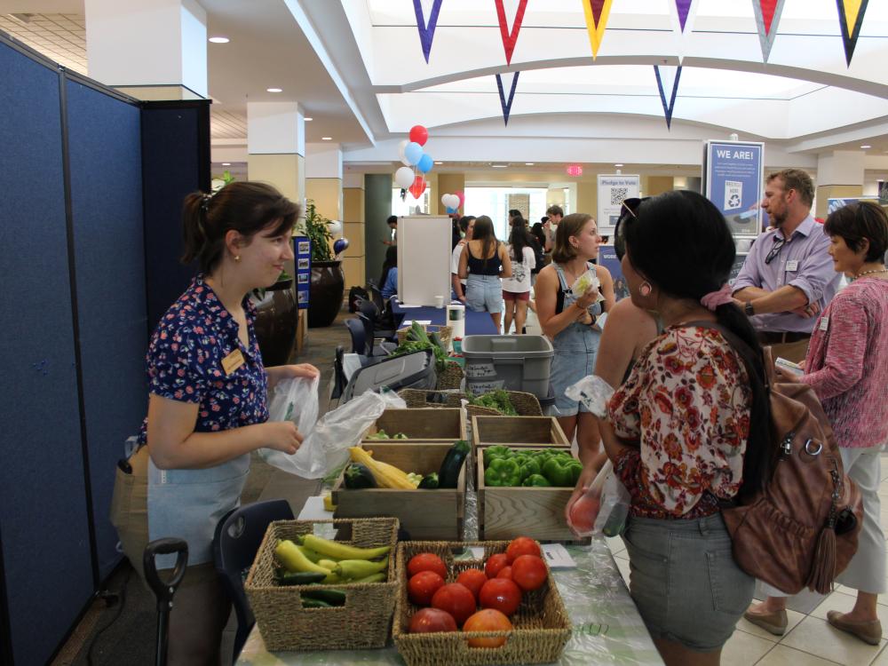 Feed the People Market Stand