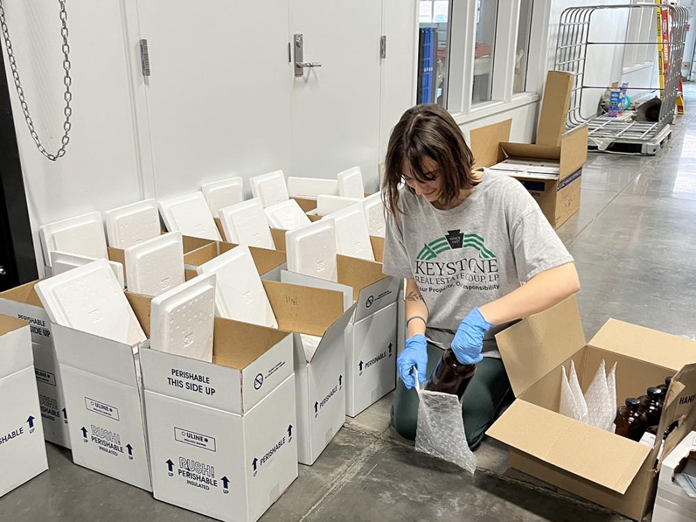 Person packing boxes