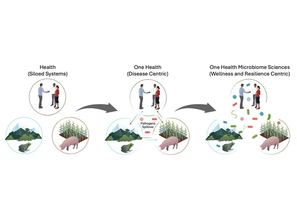 Images representing siloed health systems, disease-centric One Health system and One-Health Microbiome sciences