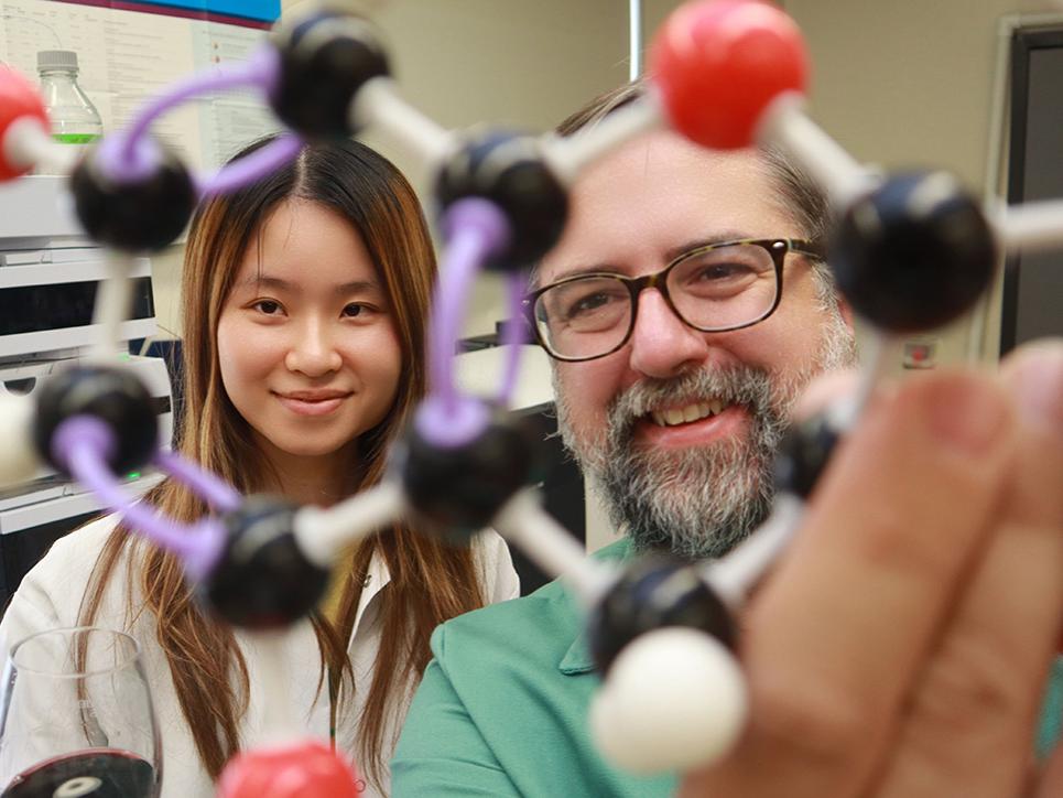Two people looking through a plastic representation of a chemical compound