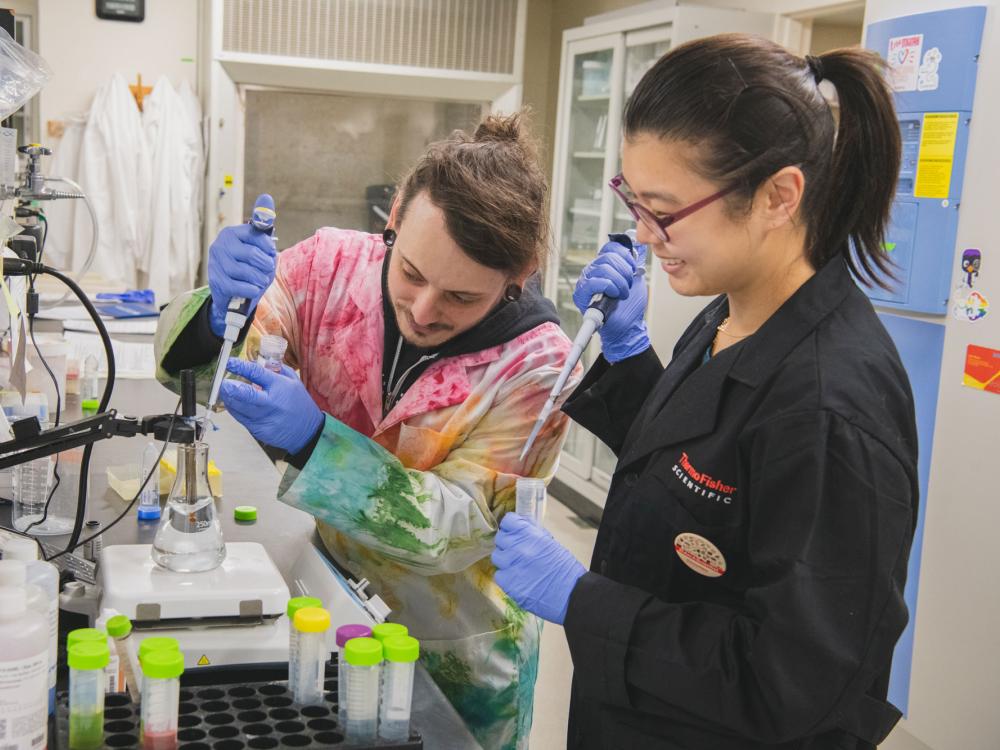Chad Smies and Jiyeon Baek use pipettes in the lab