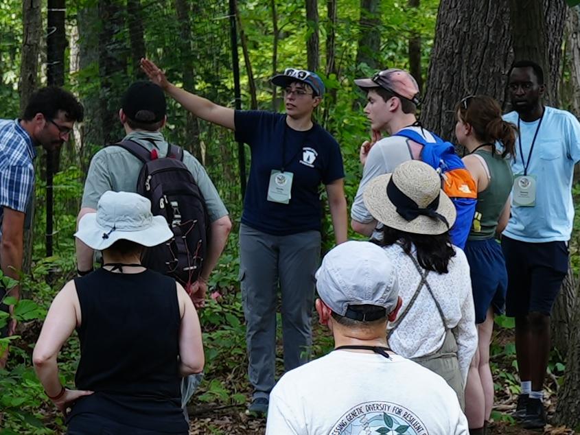 Group of people in the woods