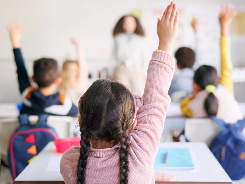 A view of students raising their hands from the back of a classroom