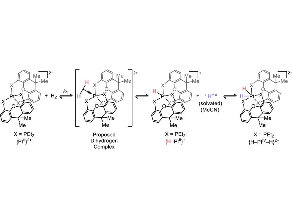 Chemical reaction with chemical structures of steps in new mechanism of oxidative addition.
