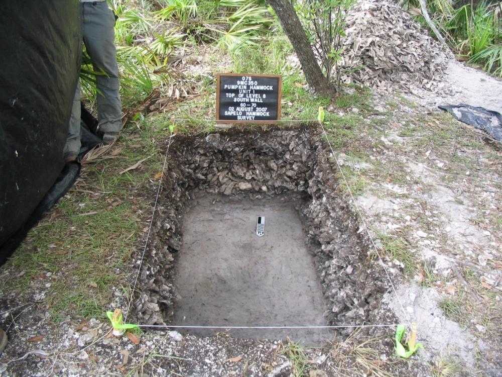 Picture of oyster shell desposits in ground