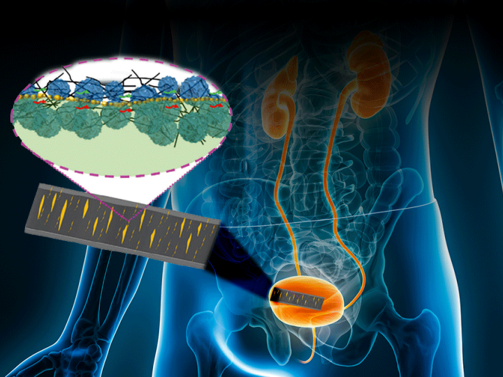 Stylized image of a health sensor