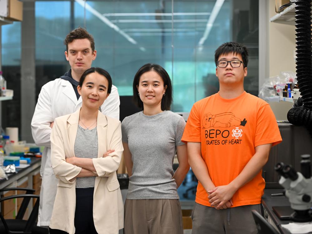 Four individuals pose in a lab.