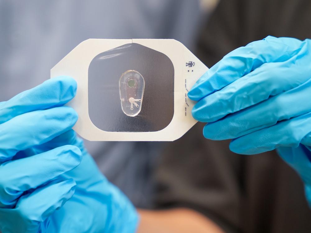 The sensor being held in a lab by two blue gloves. You can see the hydrogel technology inside.
