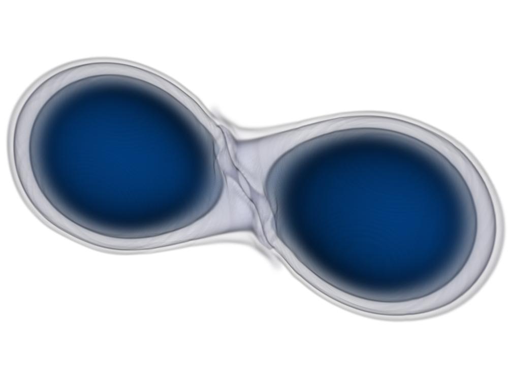 simulation of two neutron stars merging