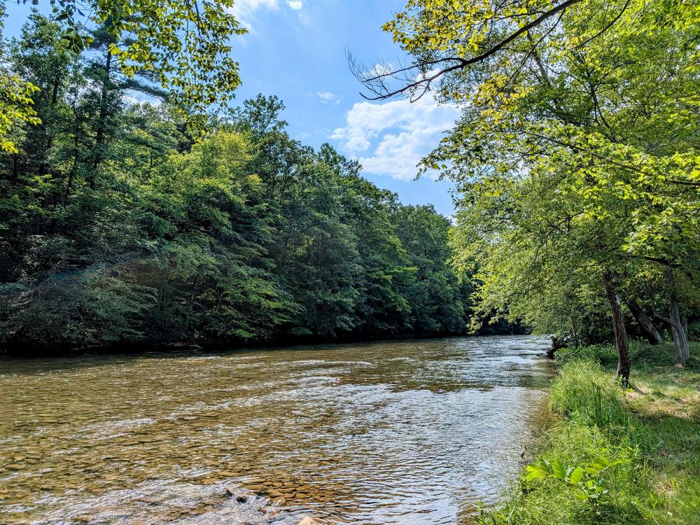 Green trees line the shore of Beech Creek under a blue sky