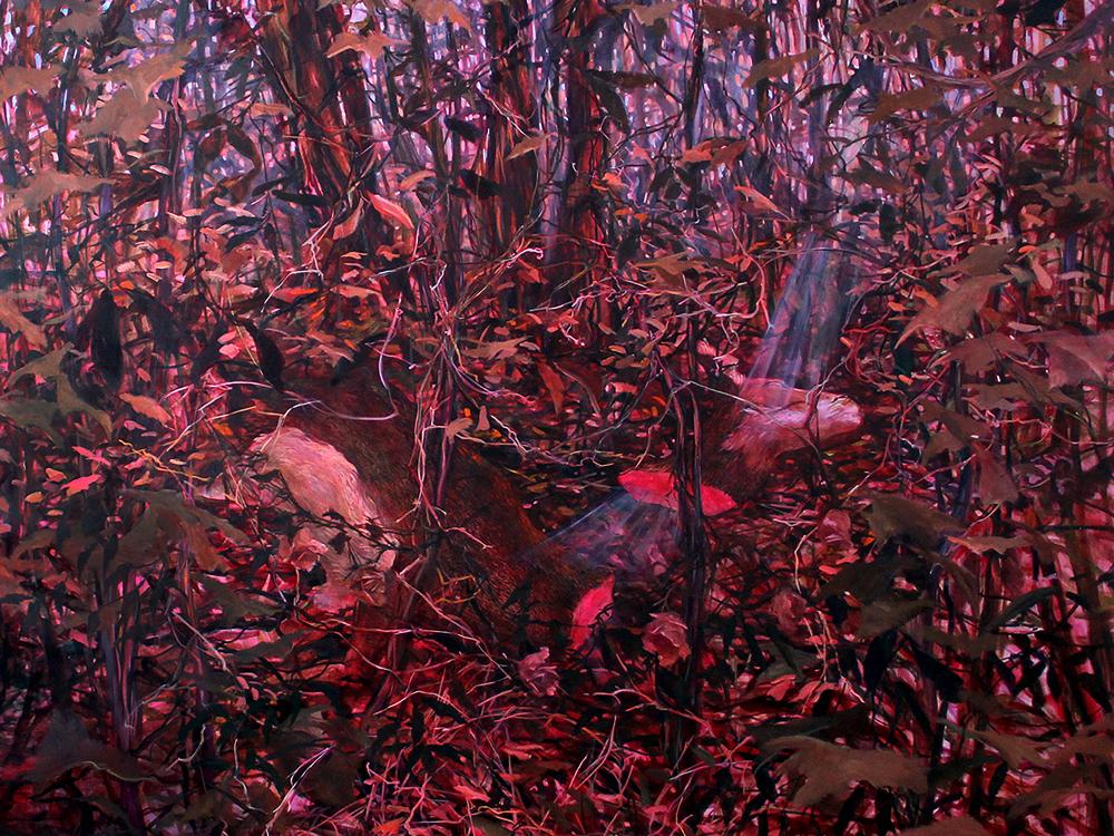 Artwork by Lauren Woods depicting a dense forest scene filled with tangled branches and reddish foliage, with beams of light filtering through to illuminate fallen tree trunks on the forest floor.