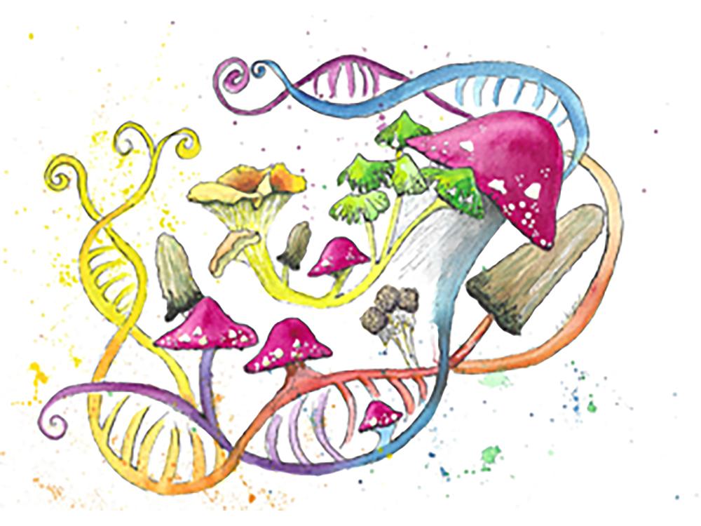 Painting with mushrooms and other fungi growing out of stylized DNA double helix