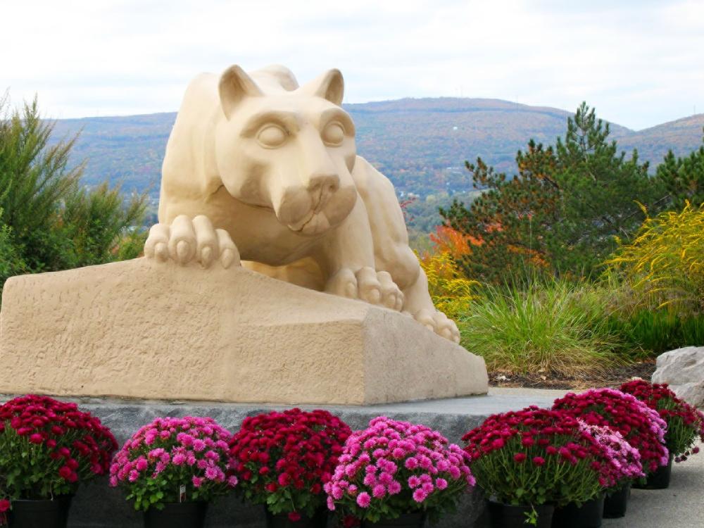 Scranton's nittany lion shrine, surrounded by colorful mums, with a view of mountains in the background