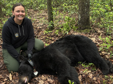 A photo of a woman kneeling on the ground next to a tranquilized bear