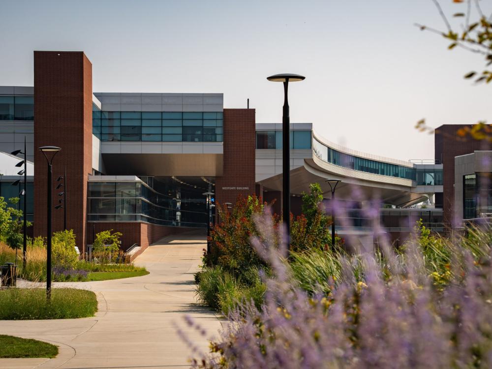 brick and glass campus building in background with summer flowers in foreground