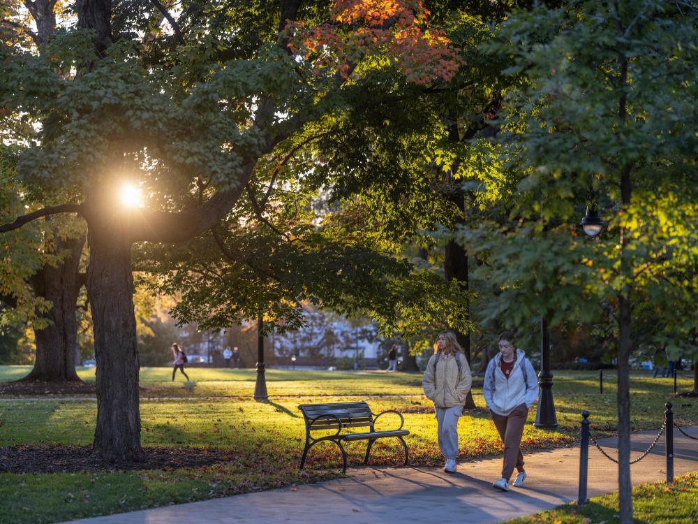Students on walking path with autumn foliage