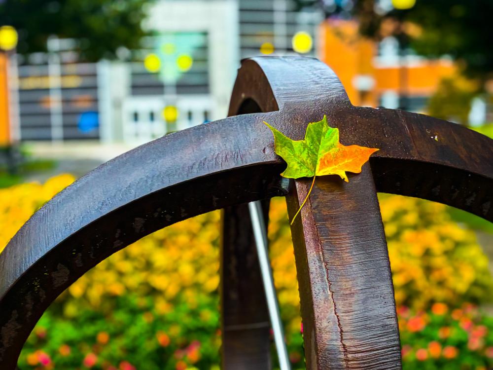 A single green and orange leaf on a metal spherical sculpture