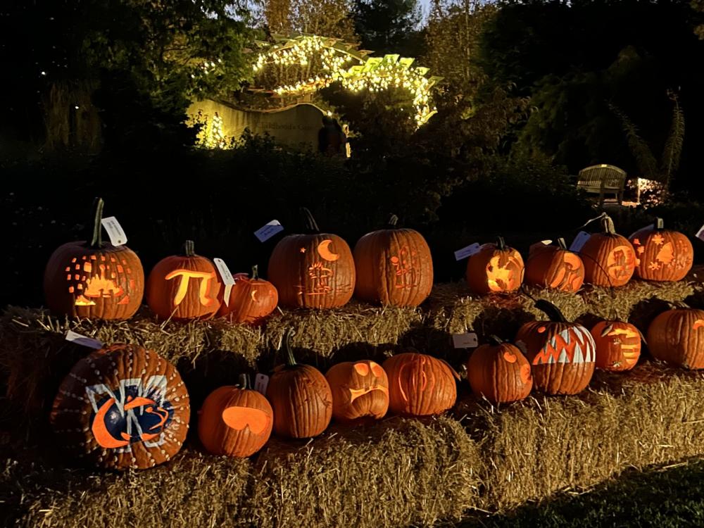 Arboretum Pumpkin Fest