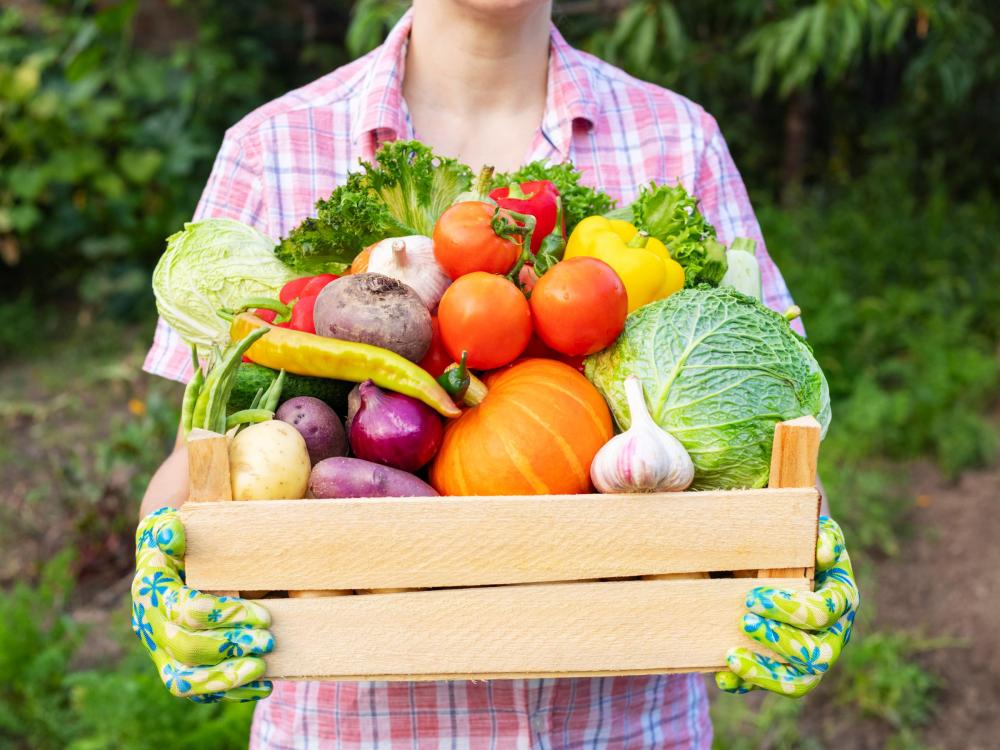 basket-of-harvested-vegetables_Seed to Supper