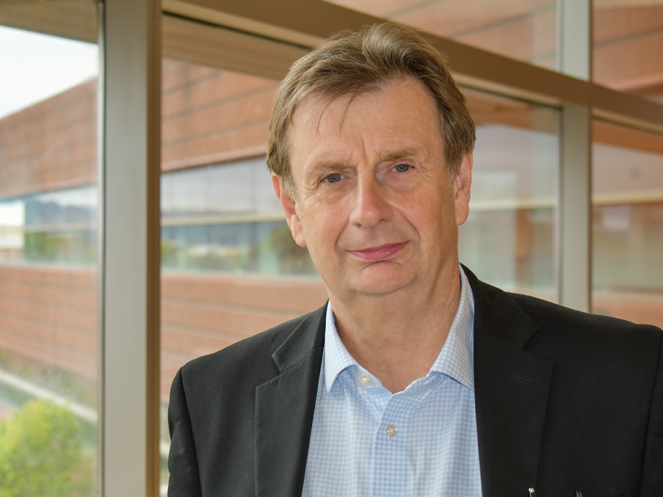 Person posed in front of a window