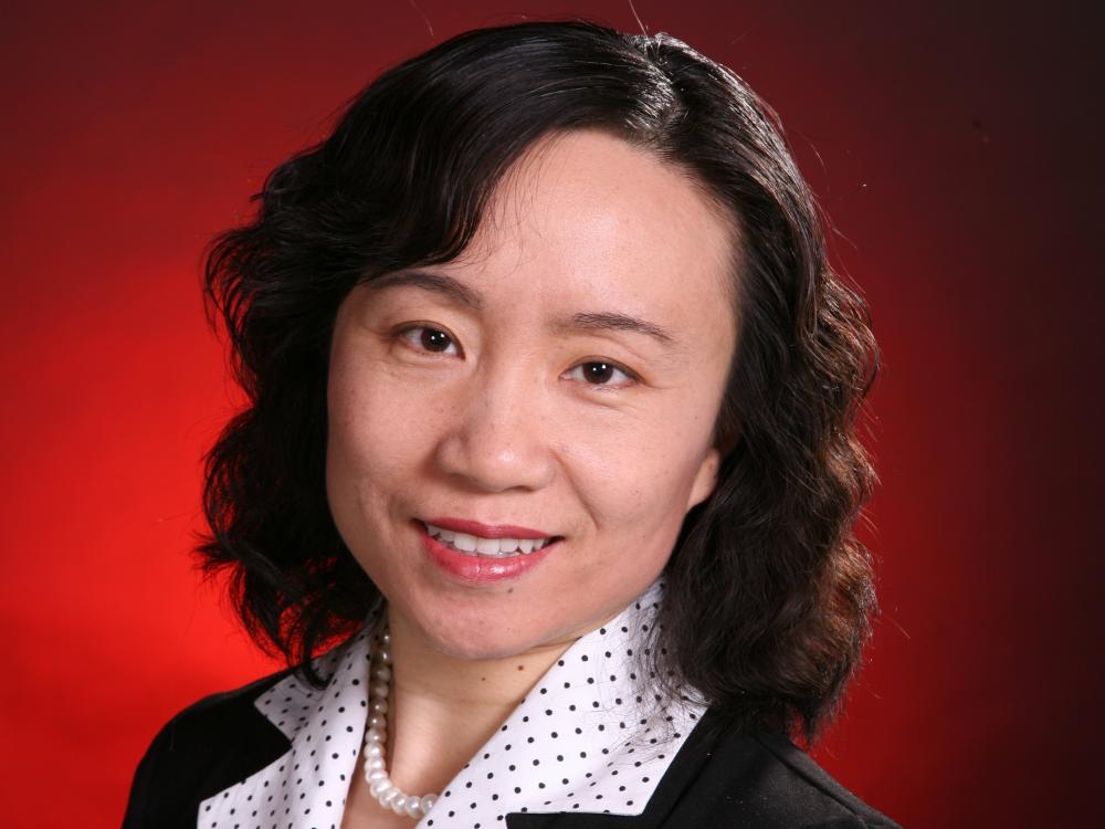 Holly Wang is a faculty member at Michigan State University.