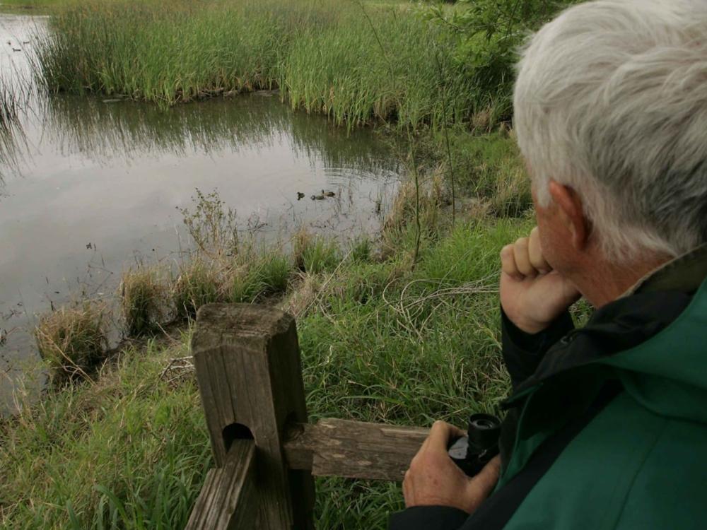 A person sits near the edge of a pond