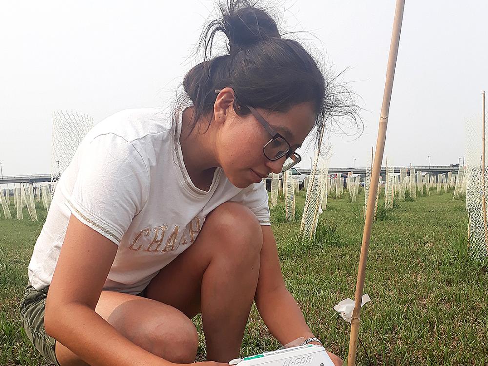 Person crouching to look at plants