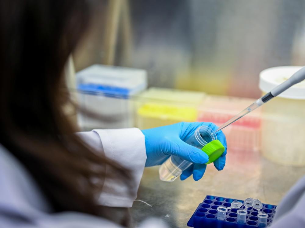 A gloved researcher uses a pipette to transfer liquid into a lab sample tube on a workbench.