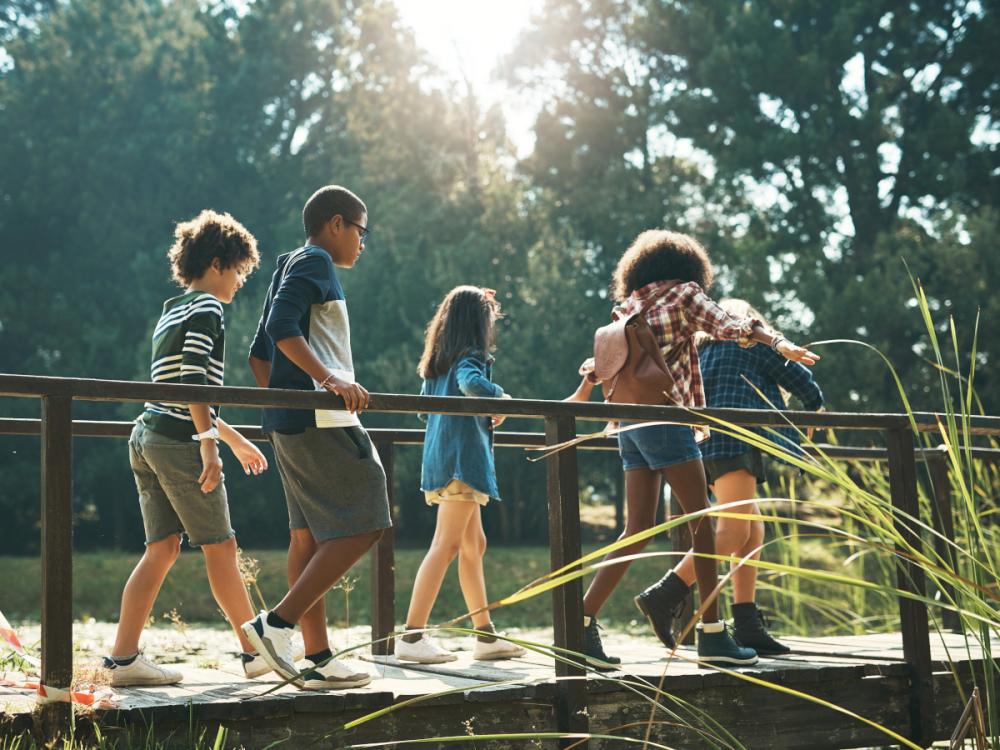 Five children walk across a wooden walking bridge. Various trees and weeds are in the foreground and background.