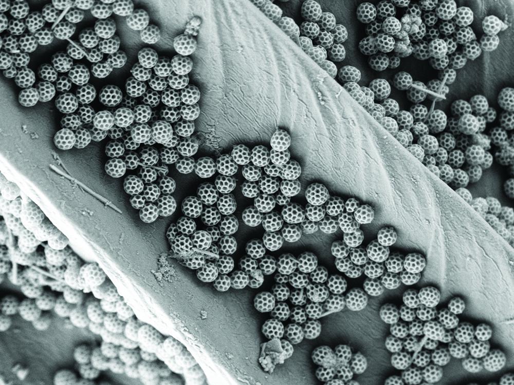 Nano soccer balls image