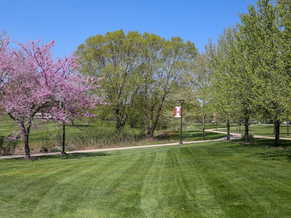 pink and green trees at Penn State Brandywine