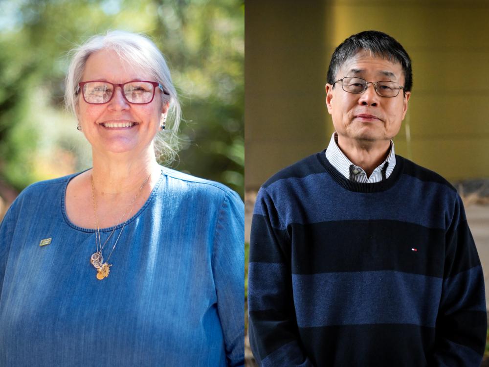 Two researchers side by side