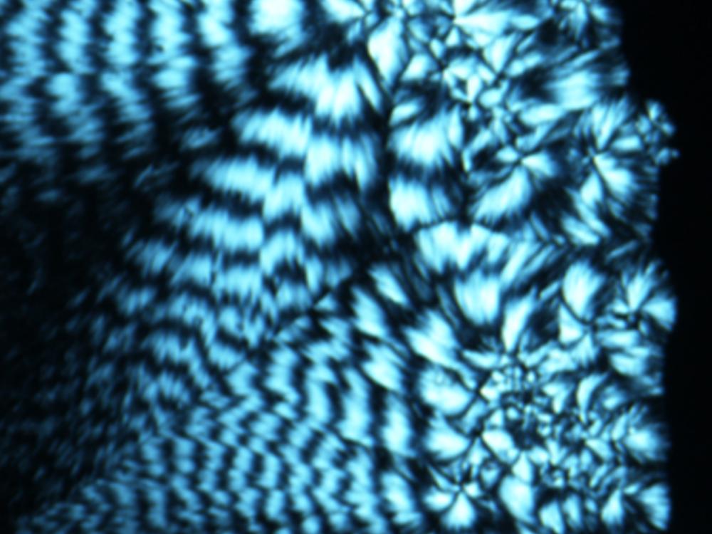 Microscopic image of blue and black repeating structures