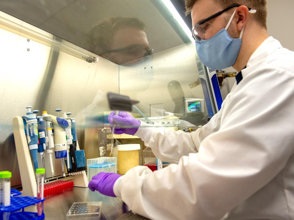 A researcher works in a BME lab.