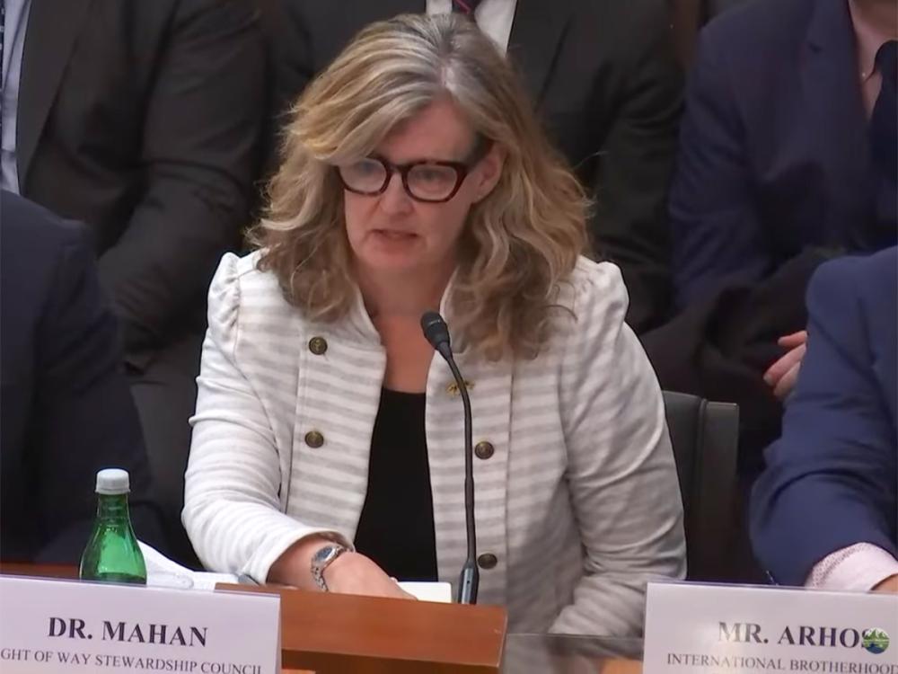 Professor Carolyn Mahan speaks into a microphone while testifying before a congressional committee, seated at a table with a nameplate reading Dr. Mahan.