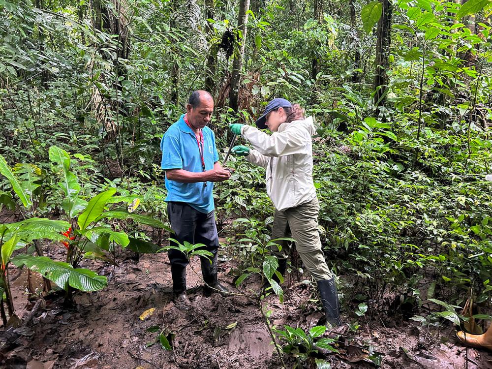 A Kichwa person and Sofia Hoffman in a lush rainforest examine a plant sample. The scene is muddy and dense with greenery.