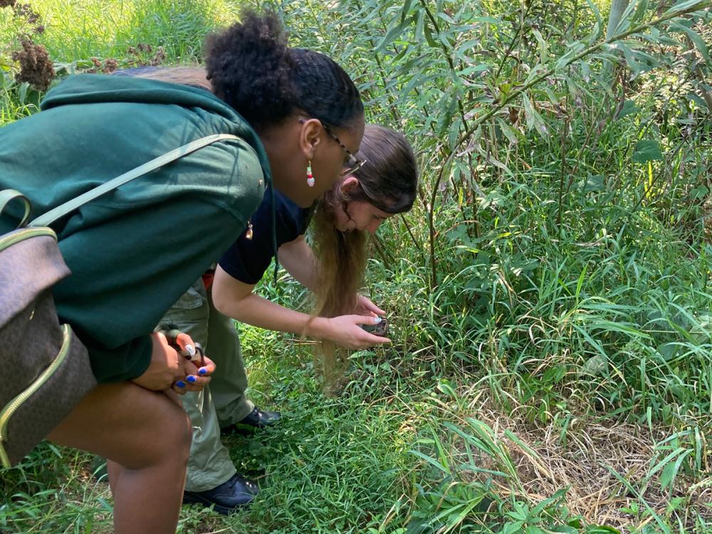 Two students examine foliage while taking a photo using a phone