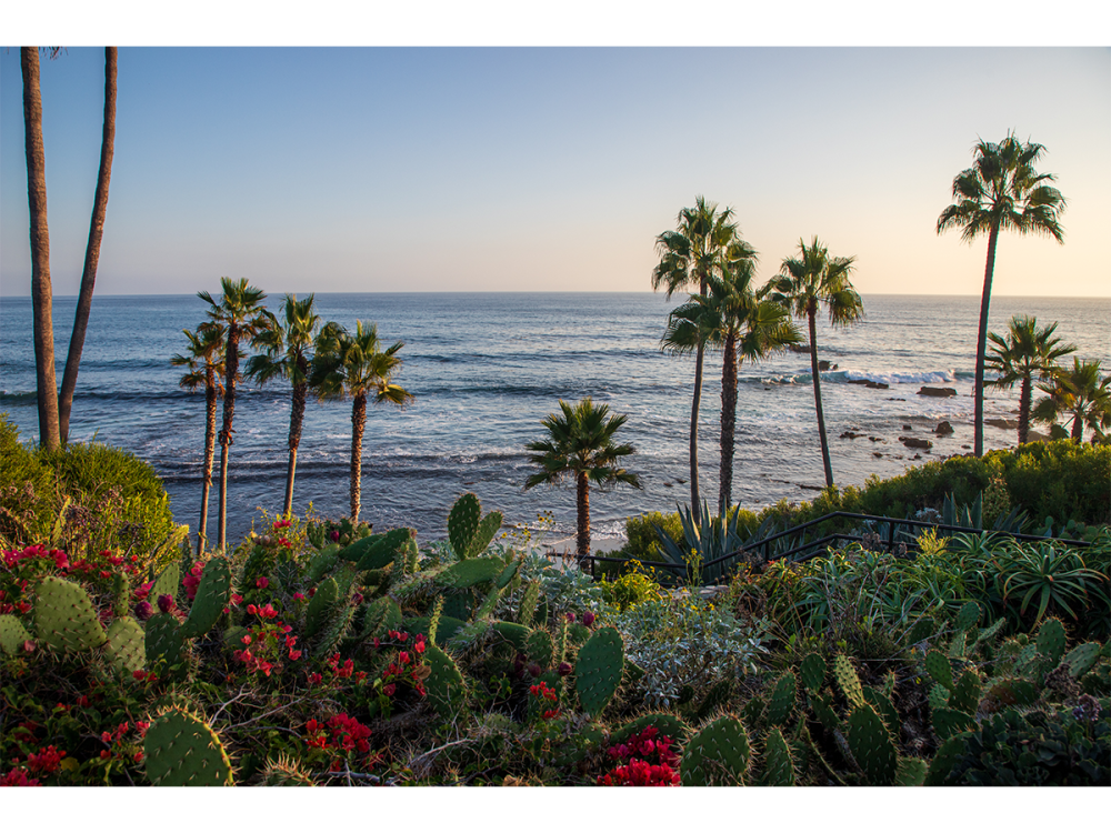 scenic image of California coast with Pacific Ocean and palm trees