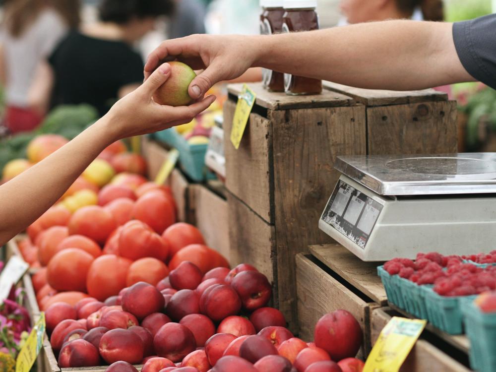 Customer shopping for apples