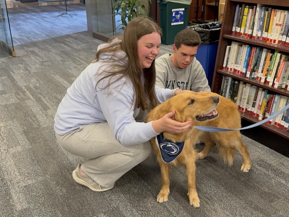 Two students petting Rosie the therapy dog, a golden retriever