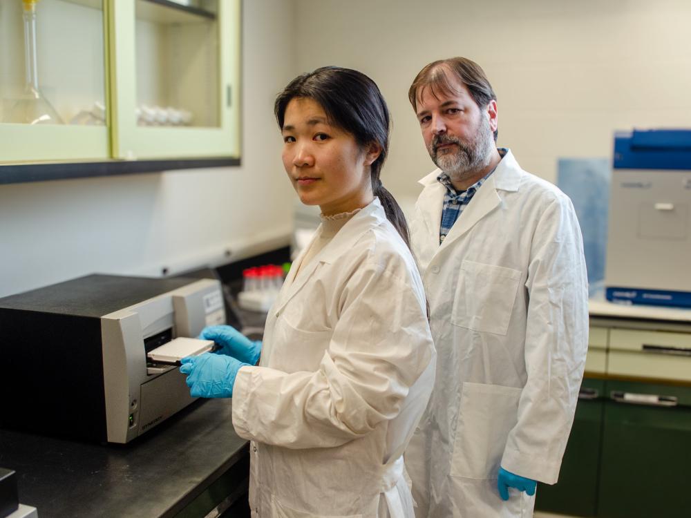 Qiaofeng Ye and Idan Shalev in their laboratory, loading a plate of samples into an analyzer