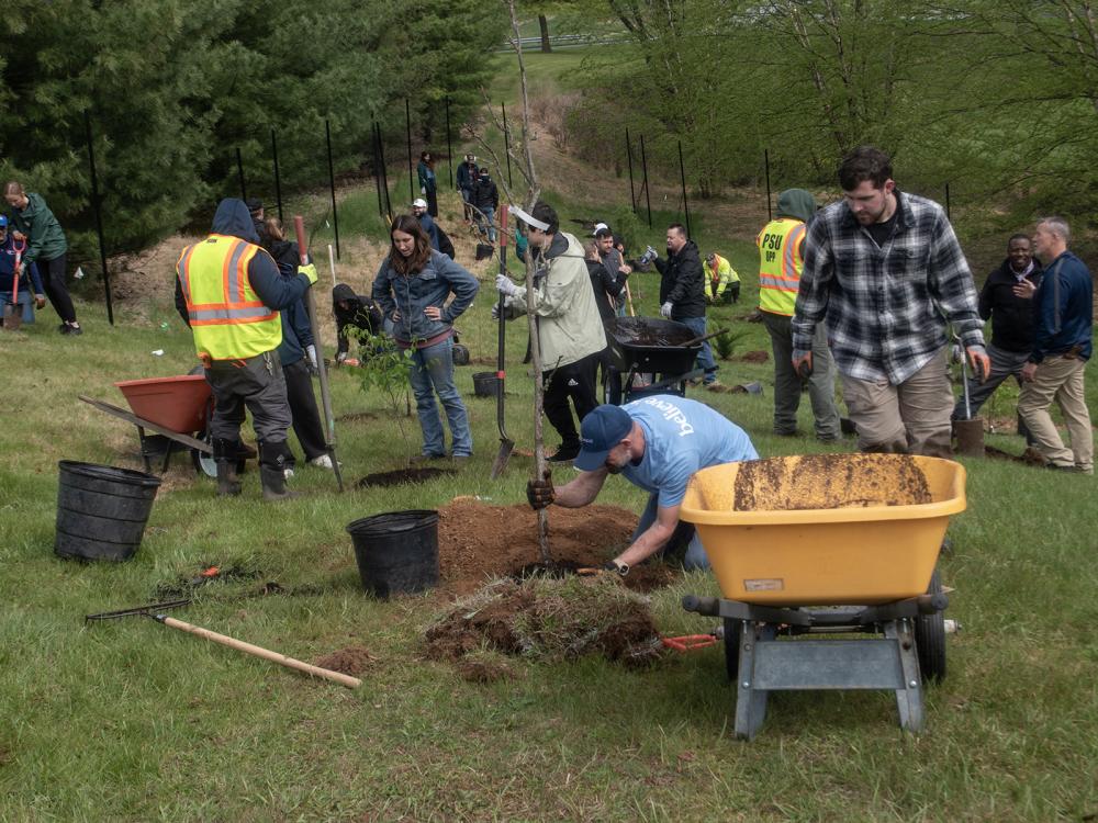 A group of students, faculty, staff and volunteers plant trees on the Harrisburg campus on a slope under a cloudy sky.
